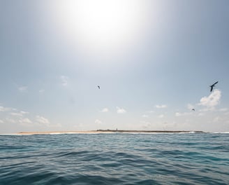 Latham Island – a prime fishing spot near Zanzibar for Catamaran Fishing Charters