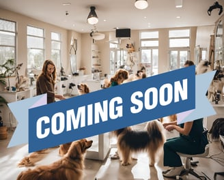 a CGI image demonstrating the dog grooming salon that is coming soon