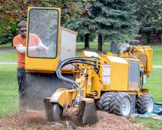 a man is using a machine to cut down a tree