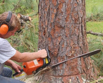 a man is using a chainsaw to cut a tree