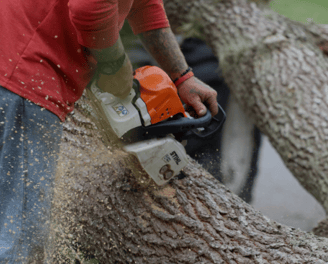 a man is using a chainsaw to cut a tree