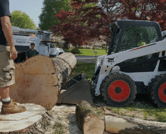 a man is standing in front of a tree stump