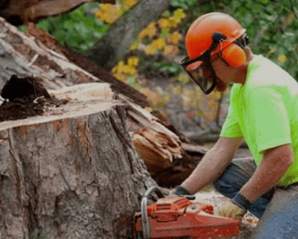 a man in a helmet and safety glasses is cutting a tree stump