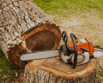 a chainsawer is sitting on a tree stump