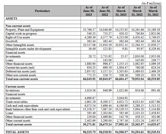 assets balance sheet_jsw infra ipo analysis_the moat investor