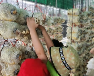 Trải nghiệm nông trại tại trung tâm can thiệp sớm Hoa Nắng Hà Đông