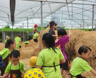 Trải nghiệm trại hè tại trung tâm can thiệp sớm