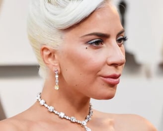 lady gaga cynthia scellos timeless fashion blog