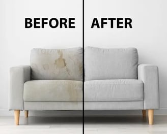 couch cleaning fort lauderdale