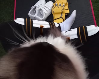 a cat is laying on a mat with a pair of shoes