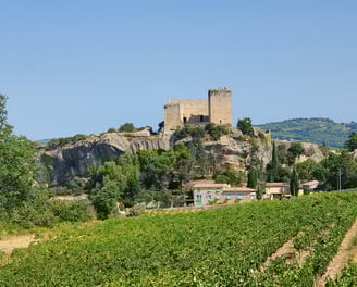 provence vaucluse
