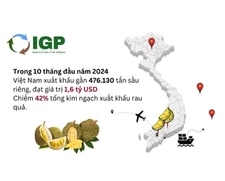 Sóng nhựa đựng sầu riêng