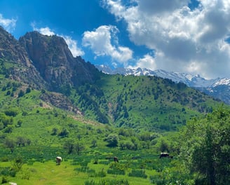 Chimgan Mountains Tashkent Uzbekistan