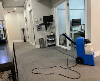 a carpeted floor being cleaned by a blue commercial carpet cleaning machine.