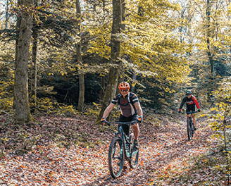 Randonnées pédestres et à vélo dans les Vosges