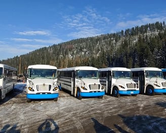 a group of buses parked in a row