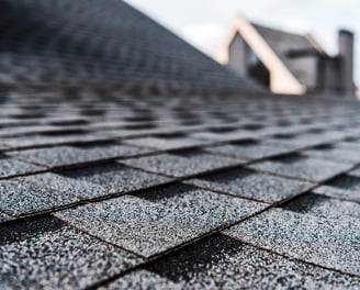 resident shingle roof