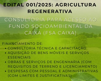 Consultoria para Elaboração de projeto com cronograma, orçamento e indicadores