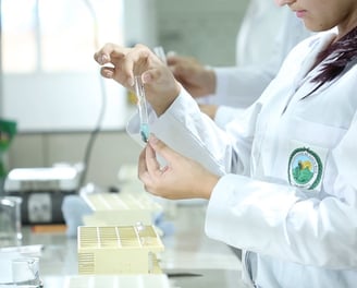Convocatoria laboratorista ISSSTE Bolsa de Trabajo ISSSTE laboratorista