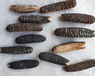 Dried trepangs (Holoturia Scabra) selected by Madopex, Madagascar's leader in seafood exports.