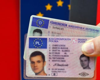 polski prawo jadzy