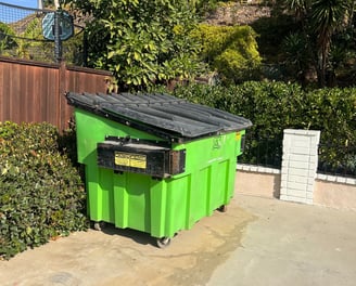 3 cubic yard bin ready for garage cleanup.