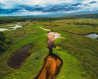 mini pantanal drone