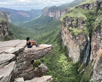 vista na tartaruga