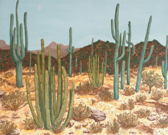 Acrylic Painting of Saguaro and Organ Pipe Cactus in Arizona by Julie Carlisle