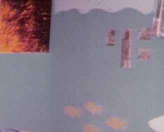 Melissa Sue Anderson pictures on my bedroom wall