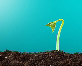 Agencia de Google Ads - Plan Basico