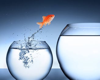Agencia de Google Ads - Plan Negocios