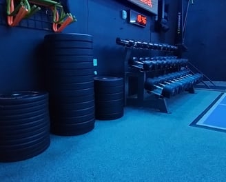 Bumper plates and dumbbells in a gym. There is a treadmill in thebackground and a black wall