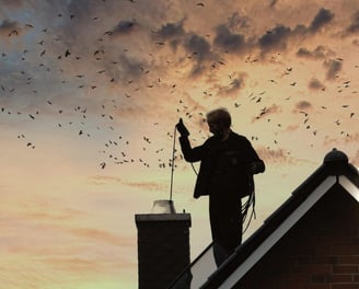 Chimney Cleaning