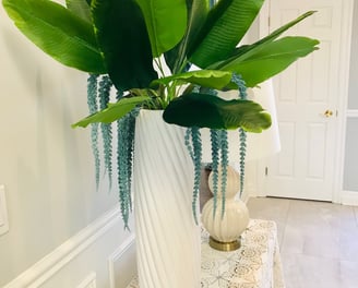 a big green plant and a table lamp in a foyer