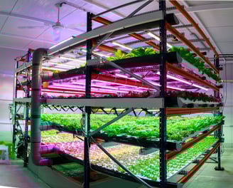 Edenly vertical farming