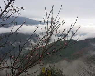 Sa Pa Vietnam self-guided travel tips