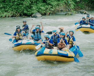 Rafting Sungai Elo menawarkan pemandangan hutan tropis dan udara segar pegunungan
