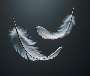 two white feathers are flying in the air