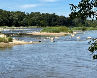 Natura 2000 w centrum Warszawy z Naturą Miasta!