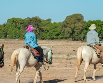 Horseback Ride at Pantanal