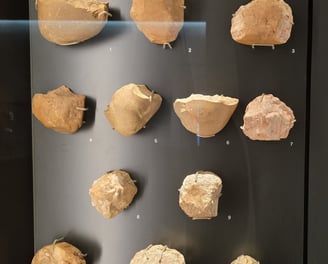 Early Palaeolithic stone tools
