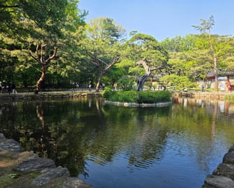 Pond view