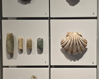 Various worked Neolithic ornaments