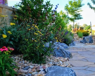 Landscaping in Northern Wyoming