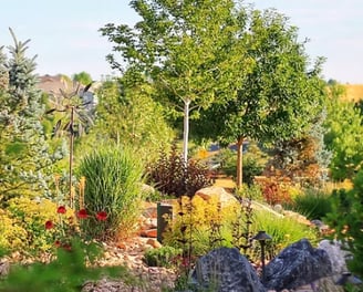 Story Wyoming Landscaping