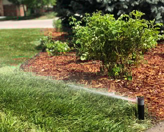 Buffalo Wyoming Landscaping