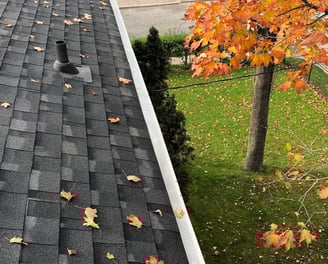 Reliable gutter installation services to prevent water damage and safeguard your home.