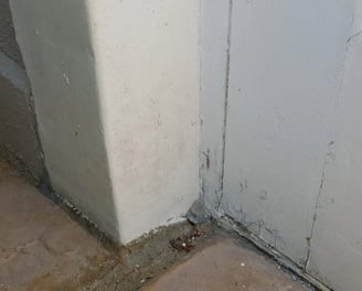 Rising Damp