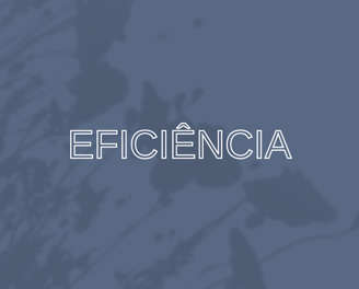 eficiencia